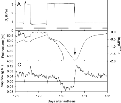 Fig. 8.