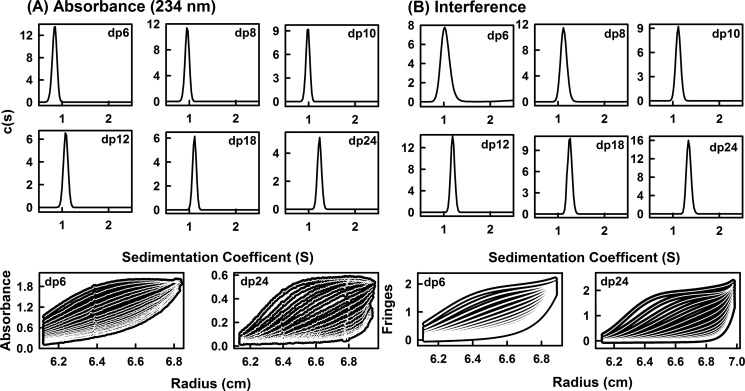 FIGURE 3.