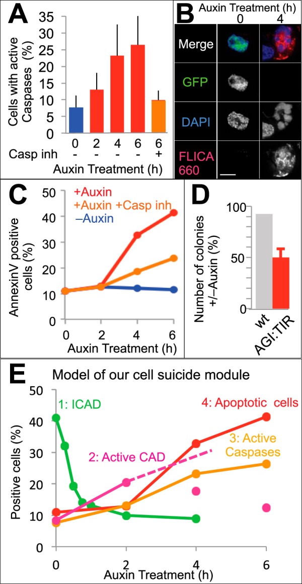 FIGURE 4.