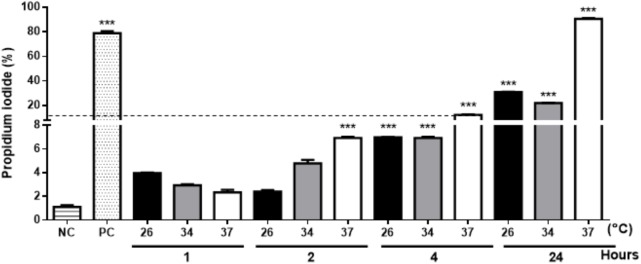 FIGURE 2