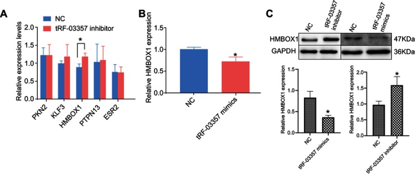 Figure 5