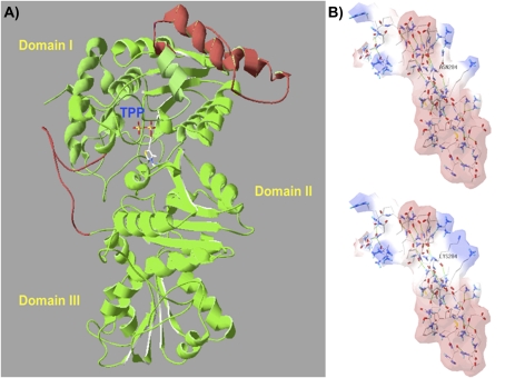 Fig. 3.