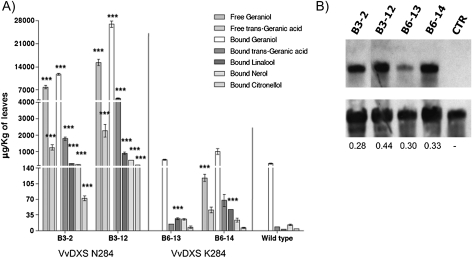 Fig. 4.