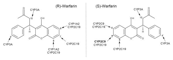 Fig. (1)