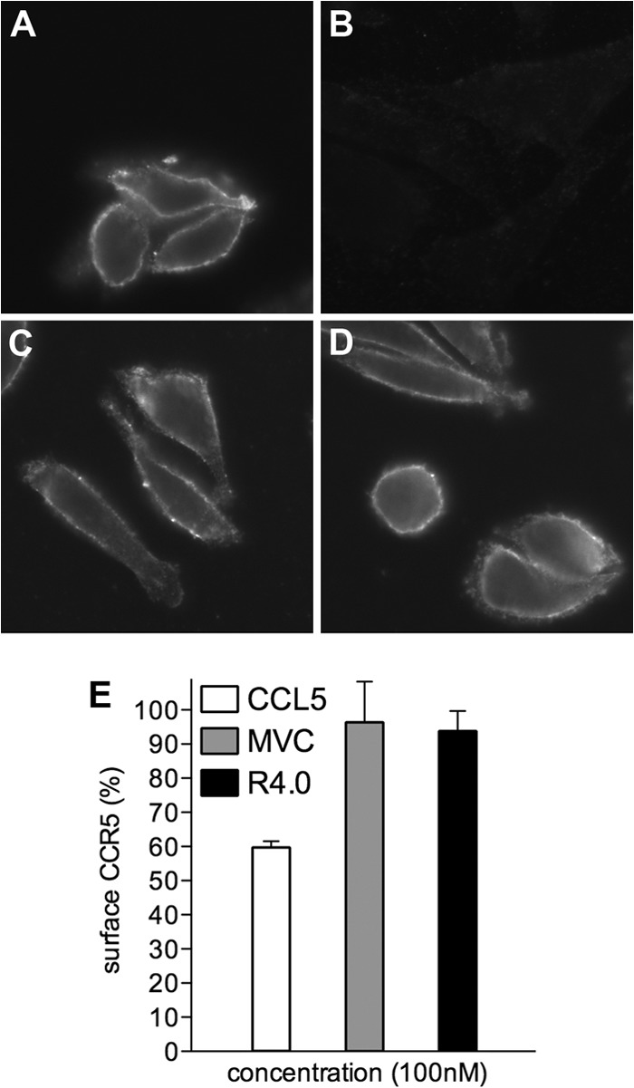 FIG 5