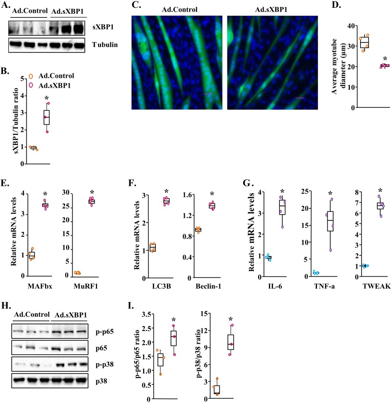 FIG 6