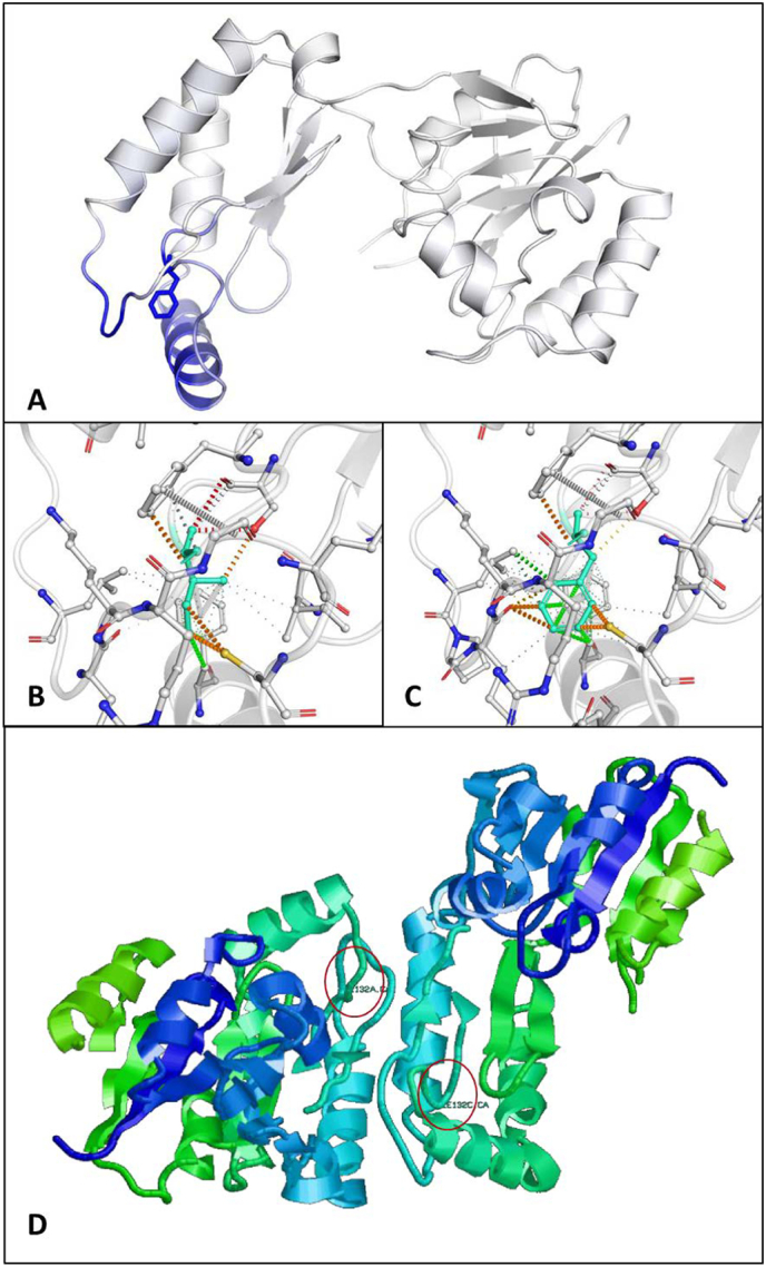 Fig. S1