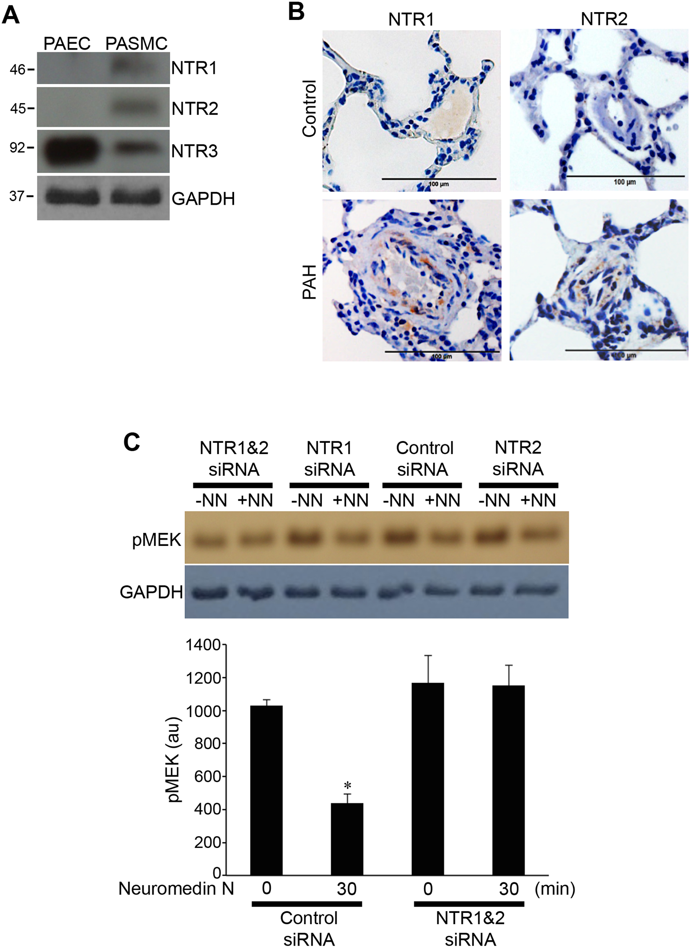 Fig. 4: