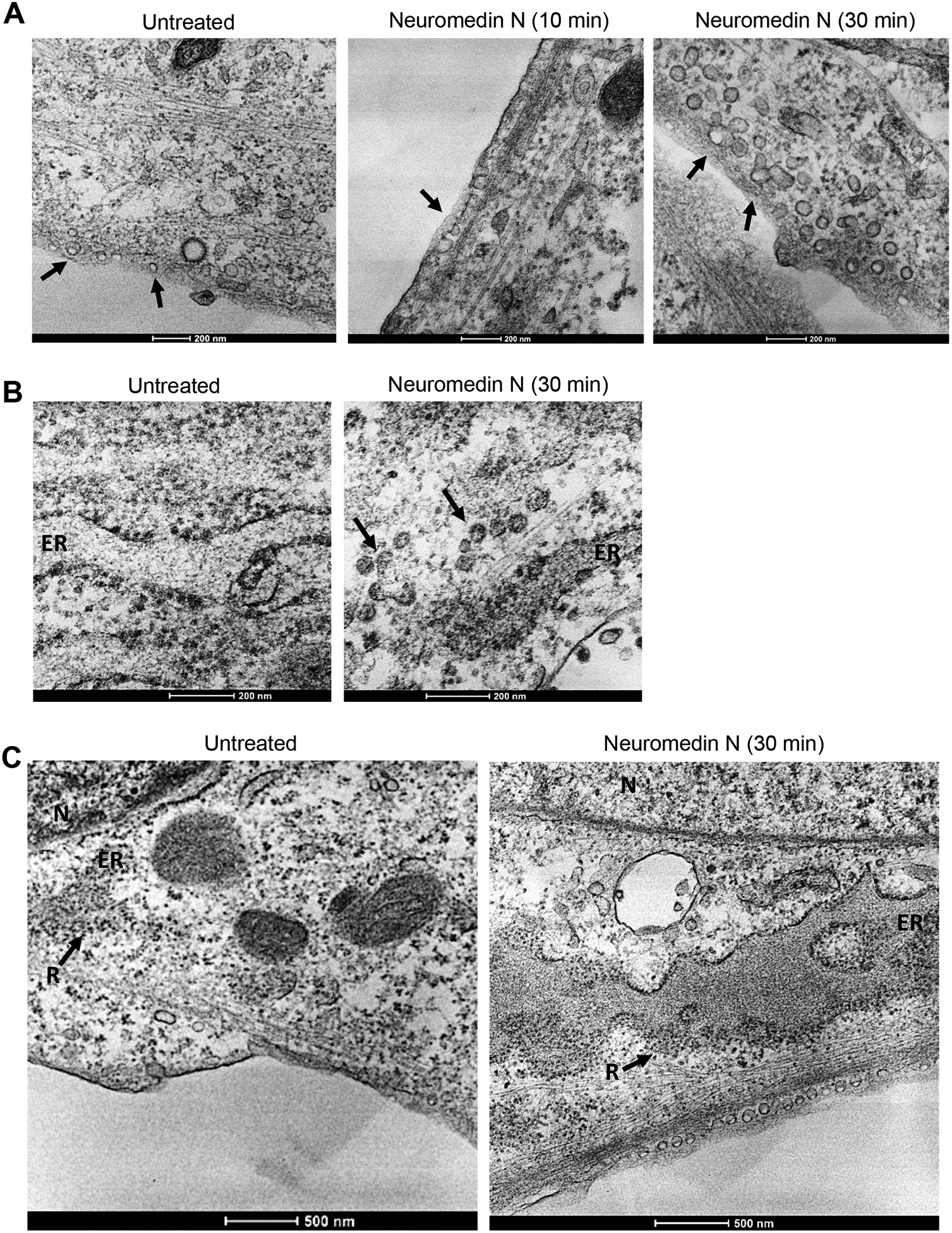 Fig. 5: