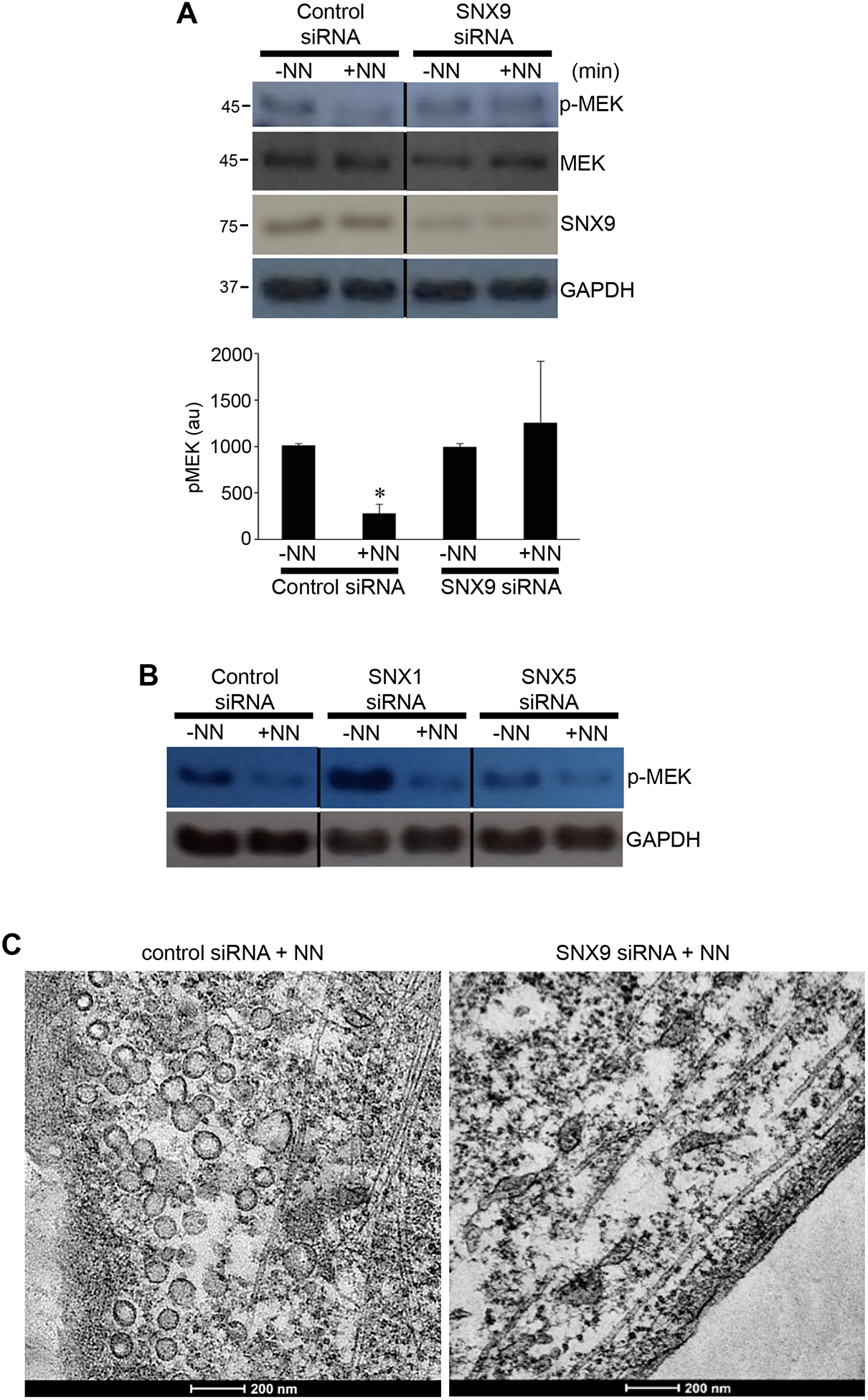 Fig. 6: