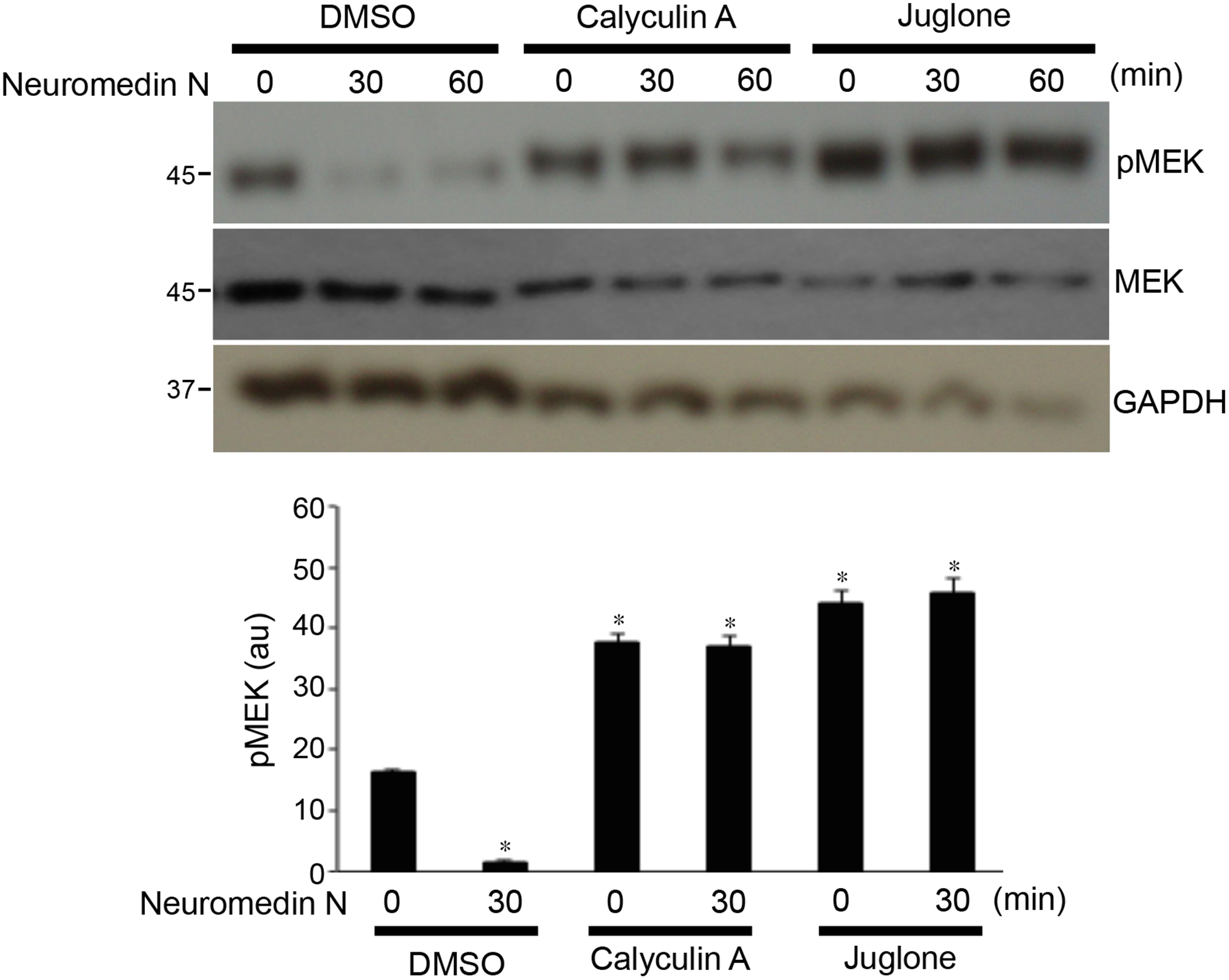 Fig. 3: