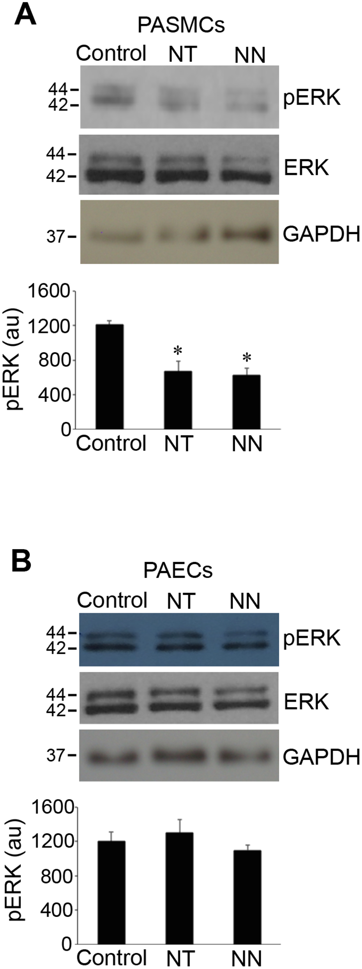 Fig. 1: