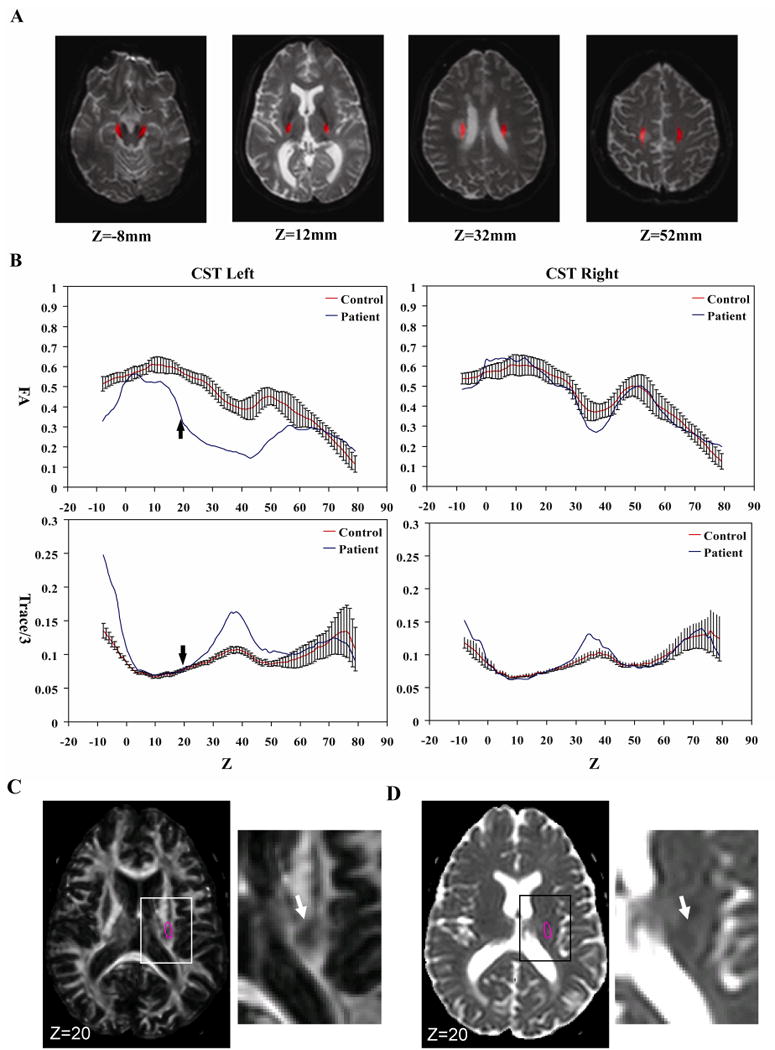 Fig. 7