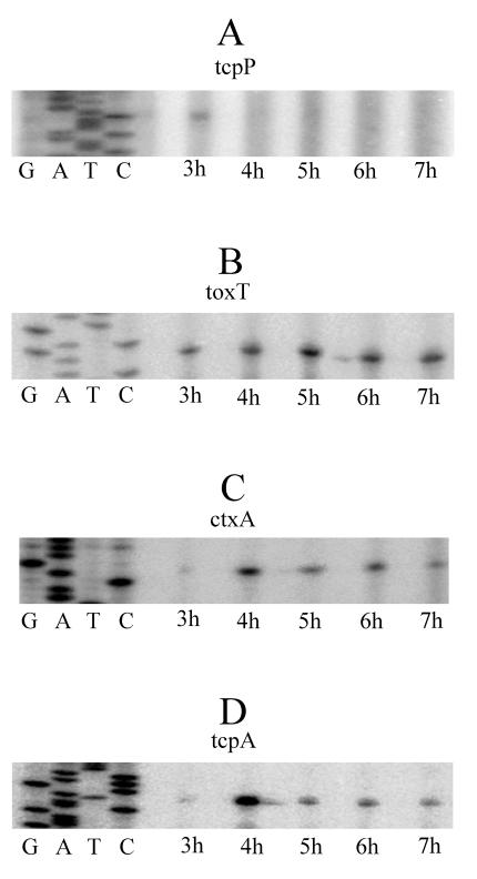 FIG. 5.