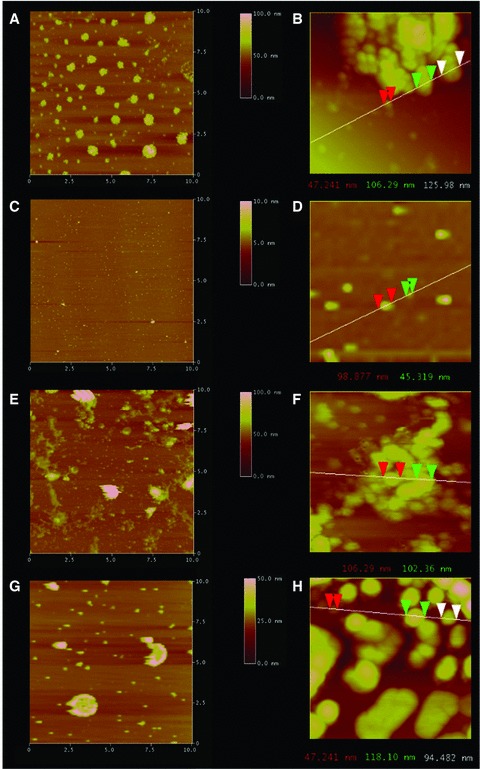 Fig 2