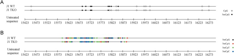 Figure 5.