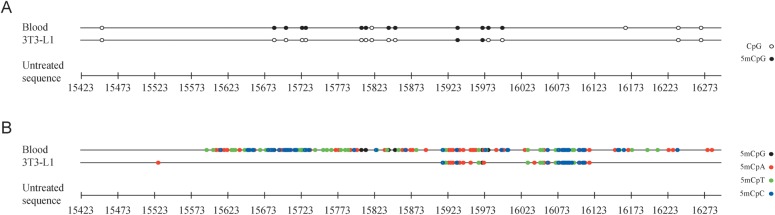 Figure 2.