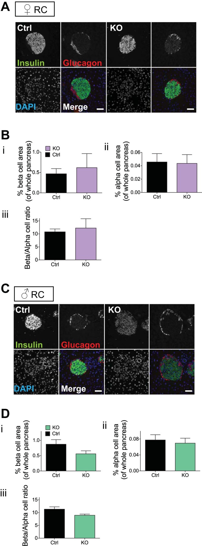 Fig. 9.