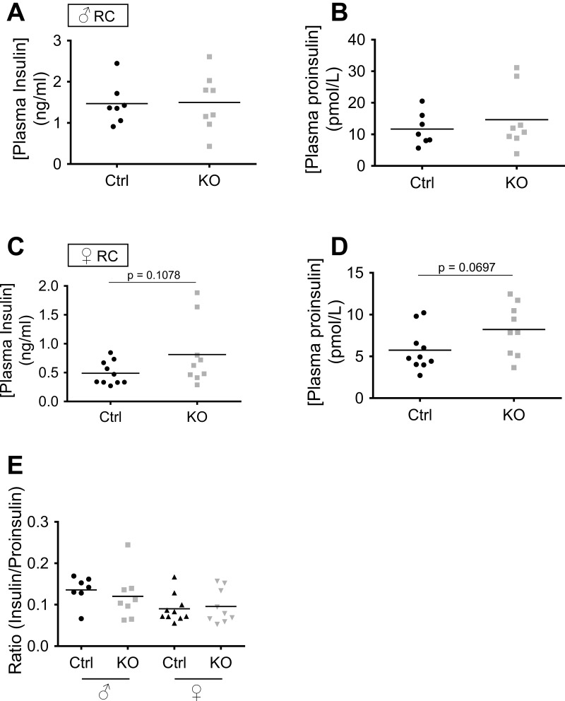 Fig. 13.