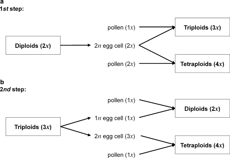 Fig. 6