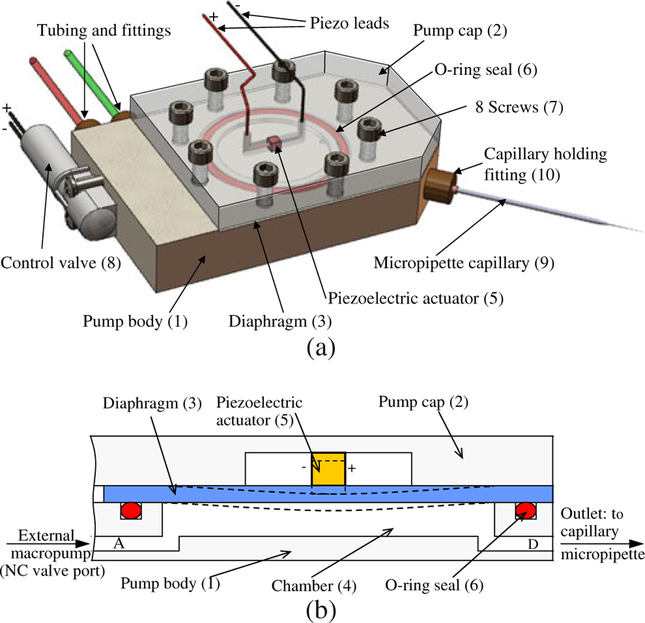 Diaphragm Pico-liter Pump For Single-cell Manipulation - Pmc