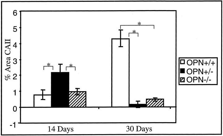 Figure 9.