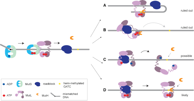 Figure 5.