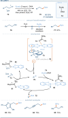 Scheme 10