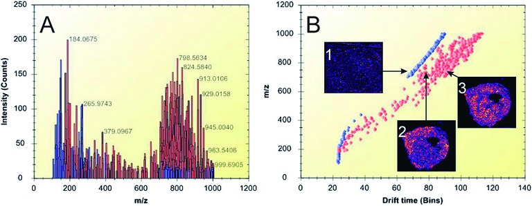 Fig. 2. Ion mobility separation of biomolecular ions detected from thin tumor tissue sections. A) Representative spectrum of peak-picked data acquired during an IMS imaging experiment. The lipid peaks are highlighted in red, while matrix-related ions are shown in blue. B) Drift plot of the separated ions. Ion image 1 shows the distribution of a background matrix ion. Ion images 2 (m/z 746.5) and 3 (m/z 746.6) show the distribution of different lipids in the tumor tissue. Lipid-related ions (highlighted in red) were separated from background ions (blue). Figure reprint by permission, Chughtai et al.
J. Lip. Res. 54(2): 333–344, 2013.