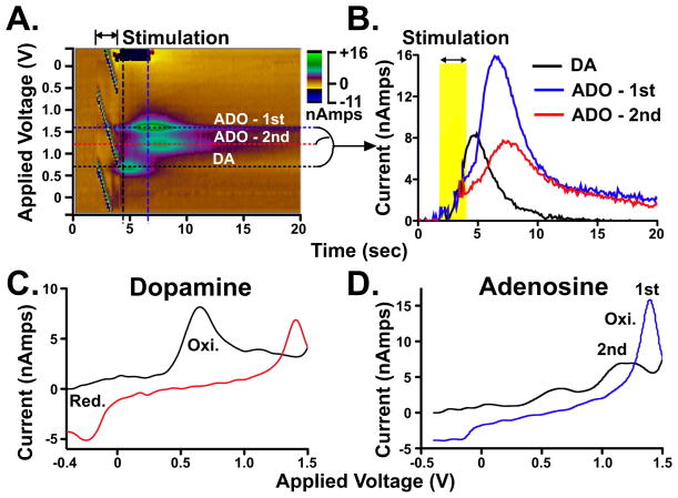 Figure 11