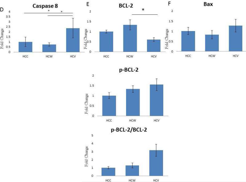 Figure 2[A-F]