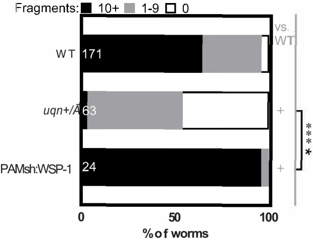 Figure 5—figure supplement 1.