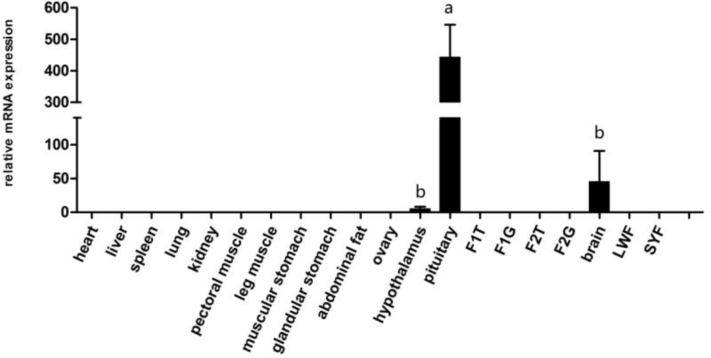 Figure 1