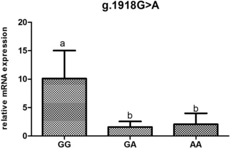 Figure 6