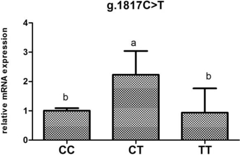 Figure 5