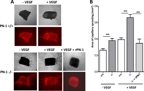 Fig 7