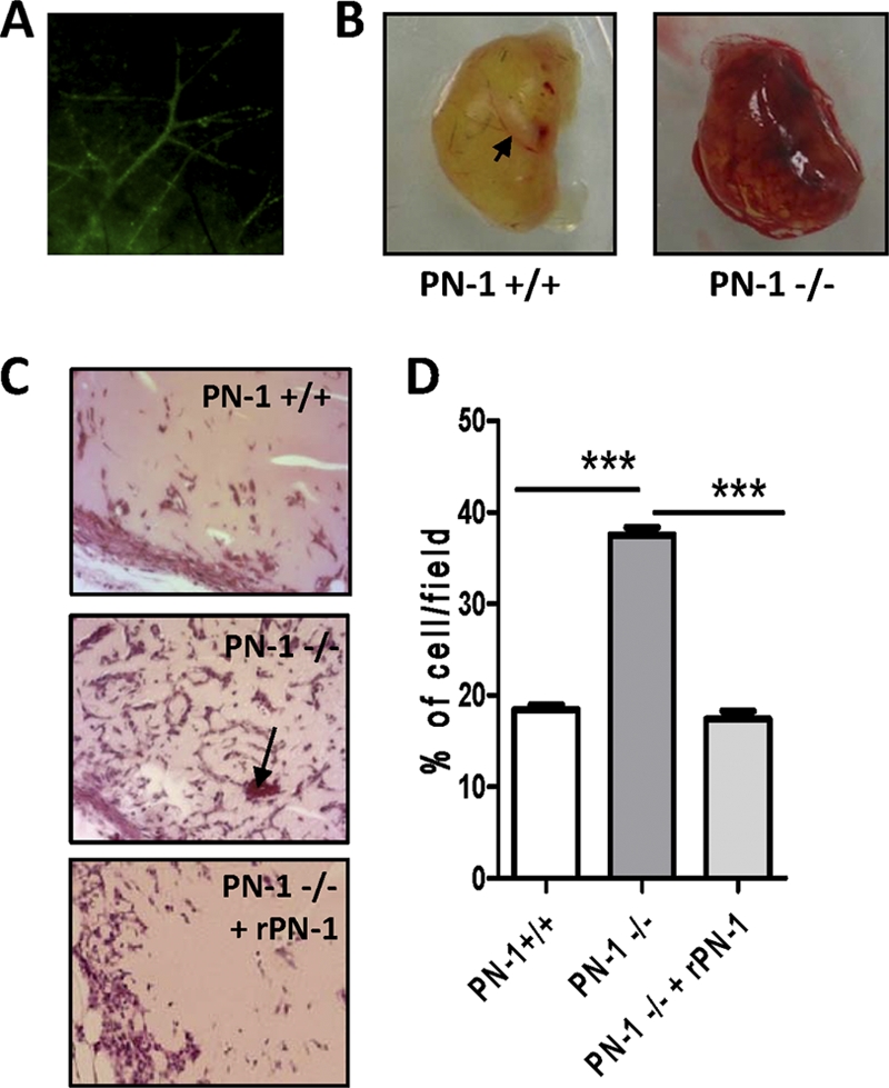 Fig 8