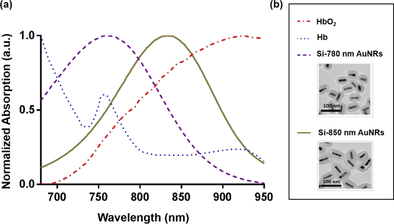 Figure 1: