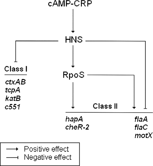 FIG. 9.