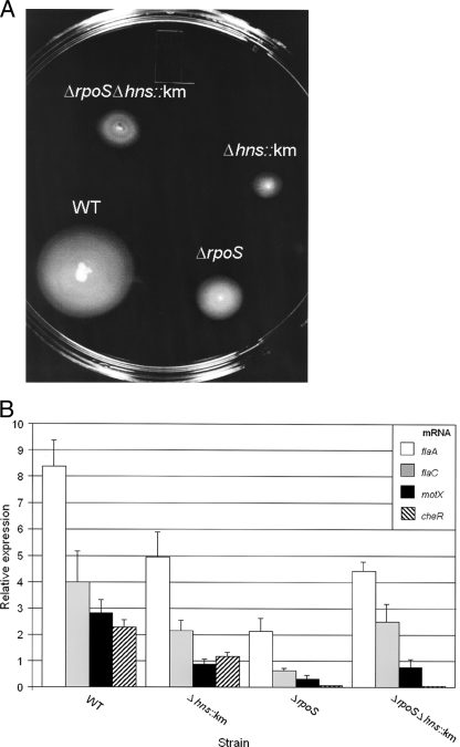 FIG. 7.