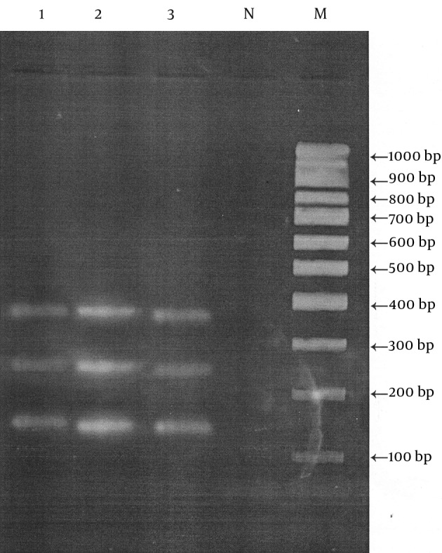 Figure 3.