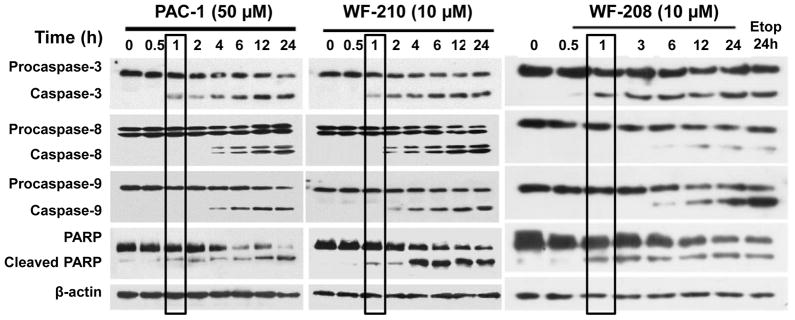 Figure 19