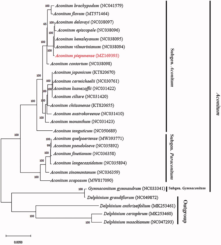 Figure 1.