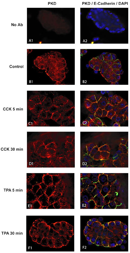 Fig. 11