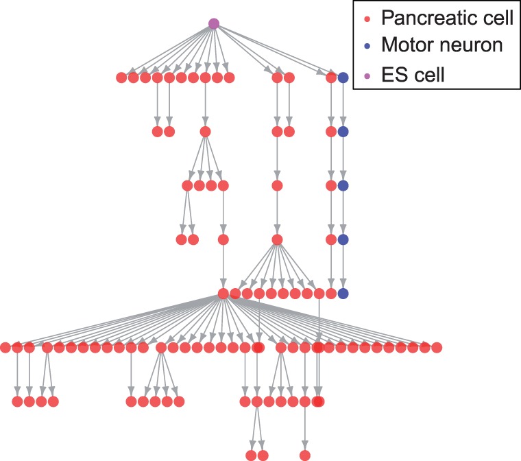 Fig. 4.