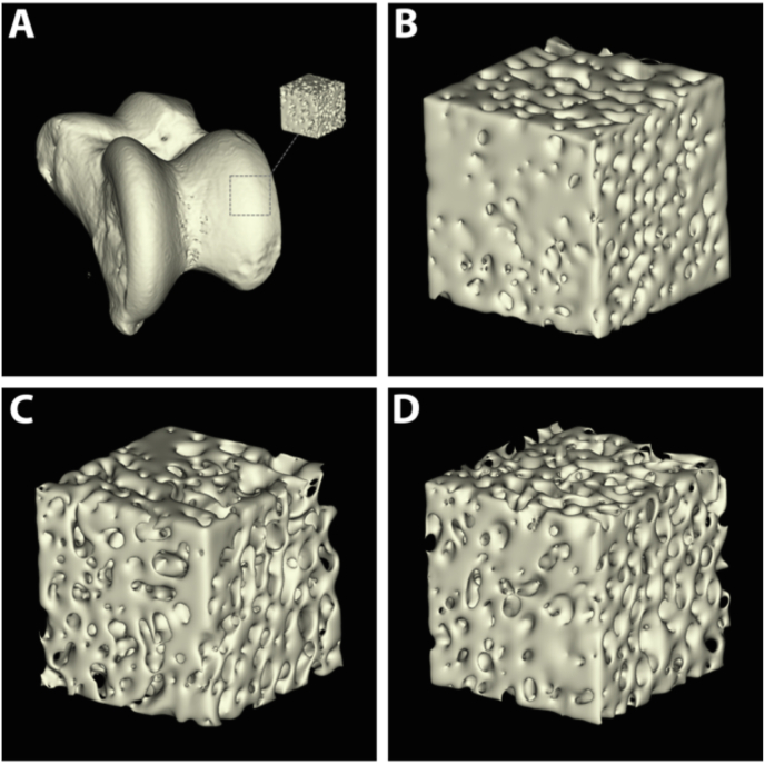 Fig. 2