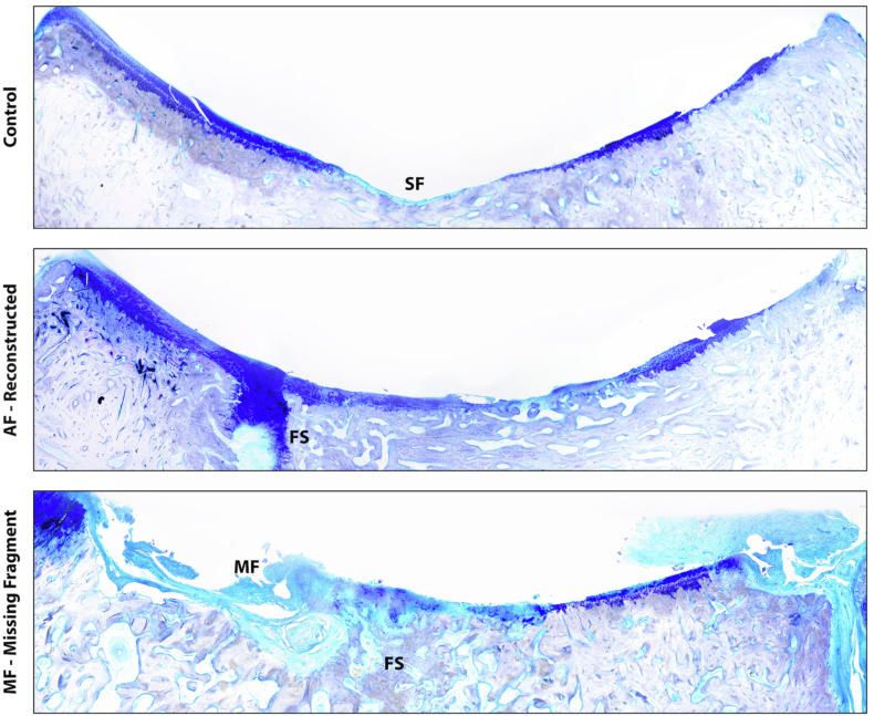 Fig. 4