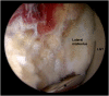 Fig 7