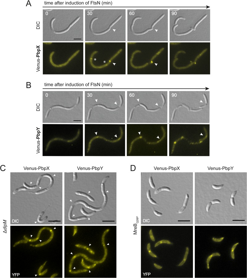 FIG 6