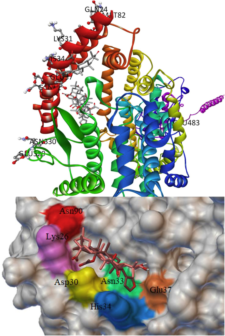 Fig. 6